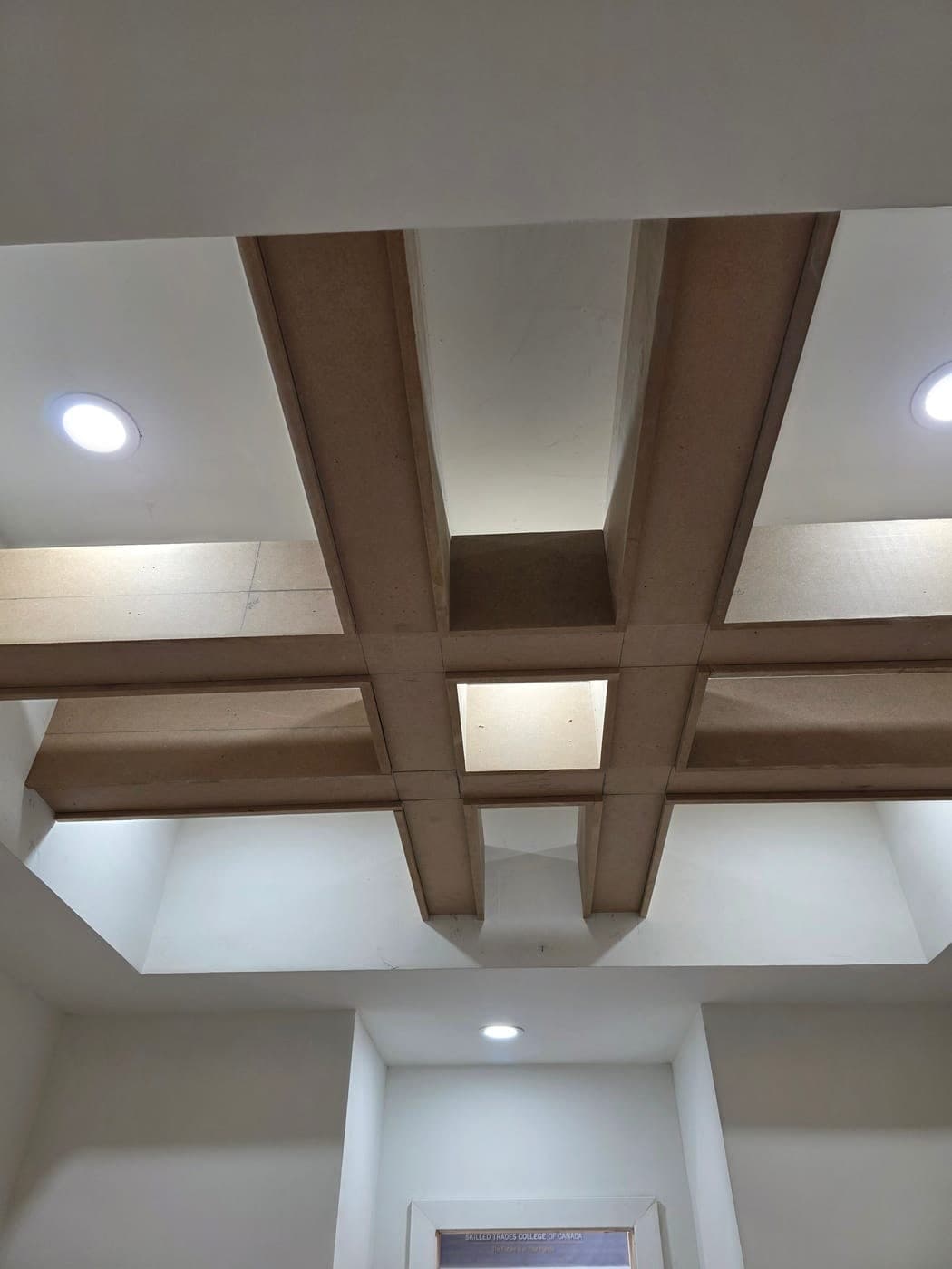 Coffered ceiling detail with pot lights above the basement living area